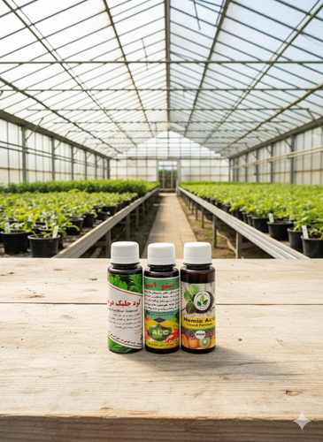 جلبک دریایی