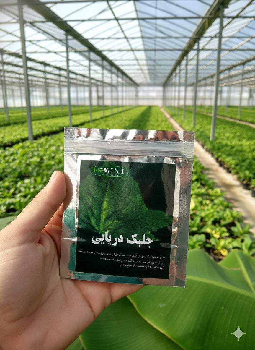 جلبک دریایی۳۰gخالص برای گیاهان آپارتمانی | تقویت رشد و سلامت گیاه با کود طبیعی | بیلچه طلا