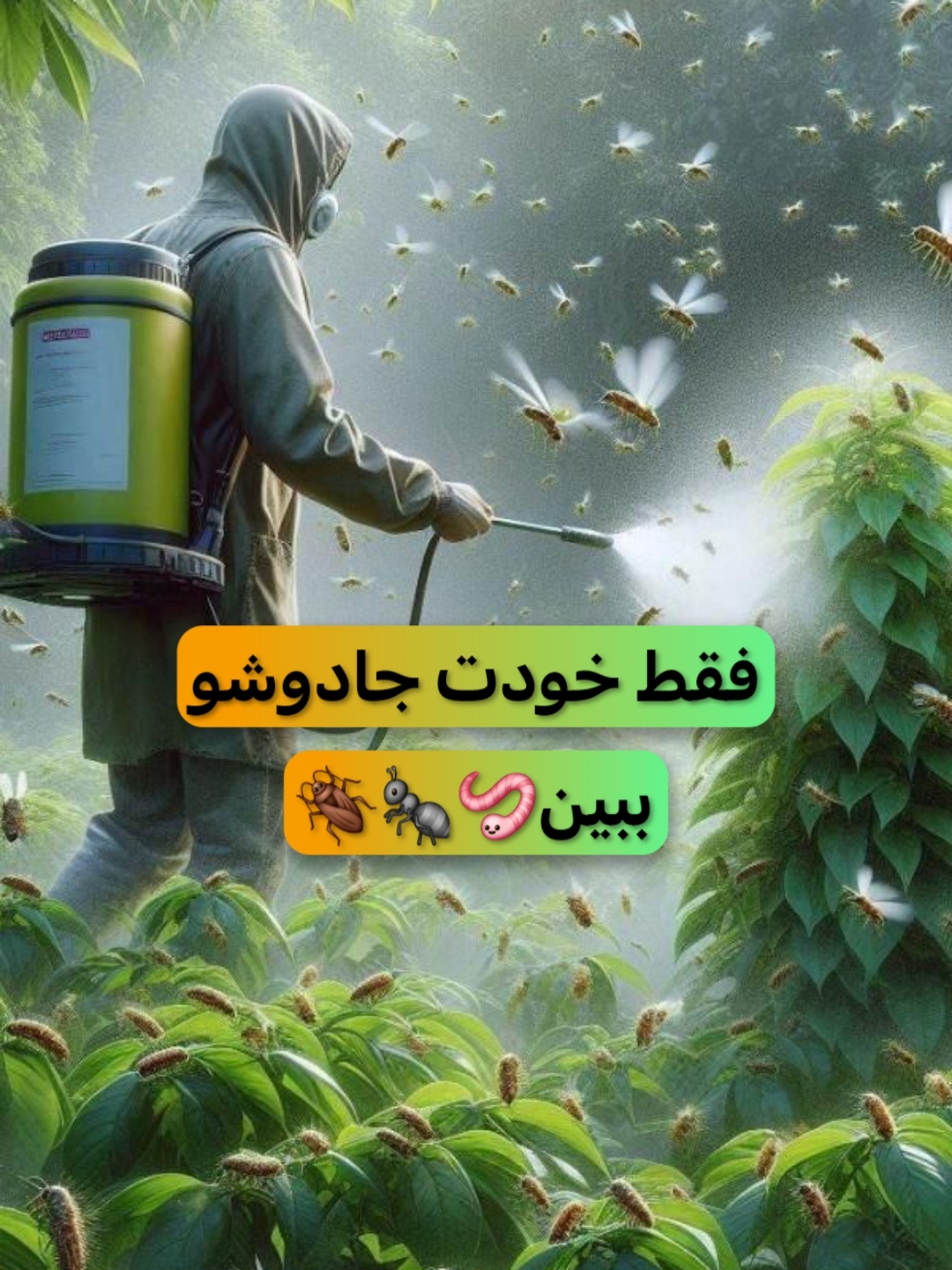 حشره کش حرفه‌ای
