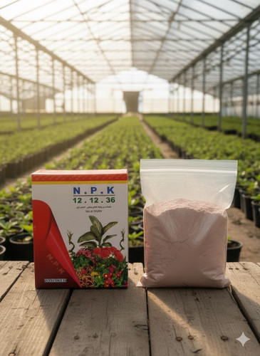 کود ۳۶ ۱۲ ۱۲