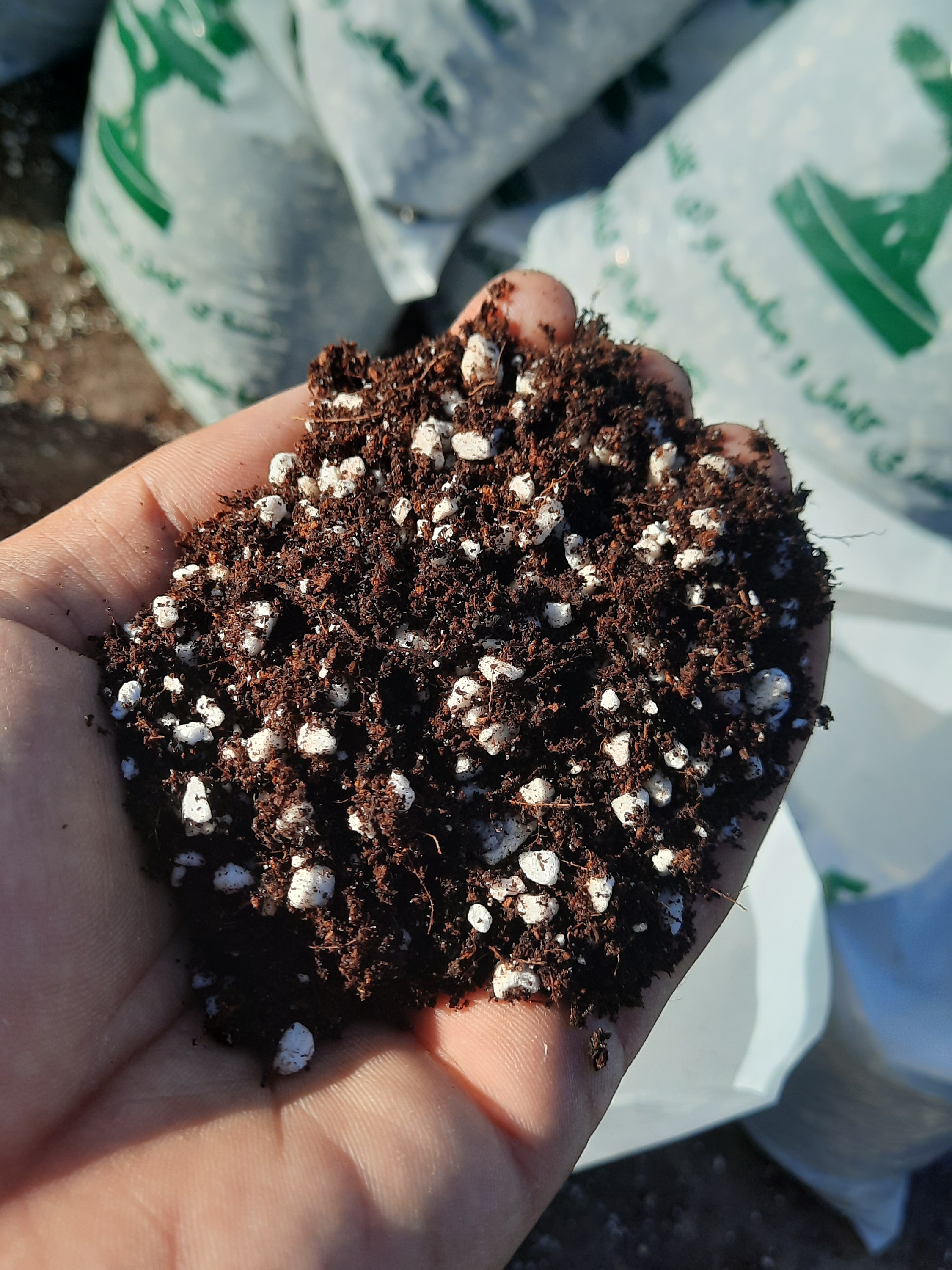 خاک هلندی سبک