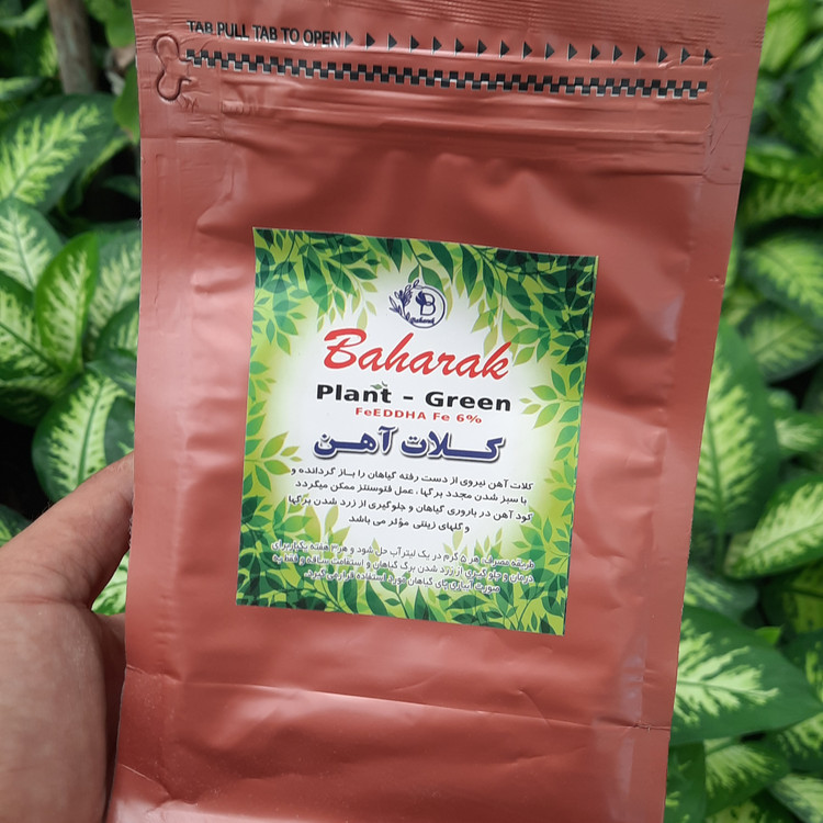 کلات آهن نیم کیلویی تقویت و سبزینگی در گیاهان