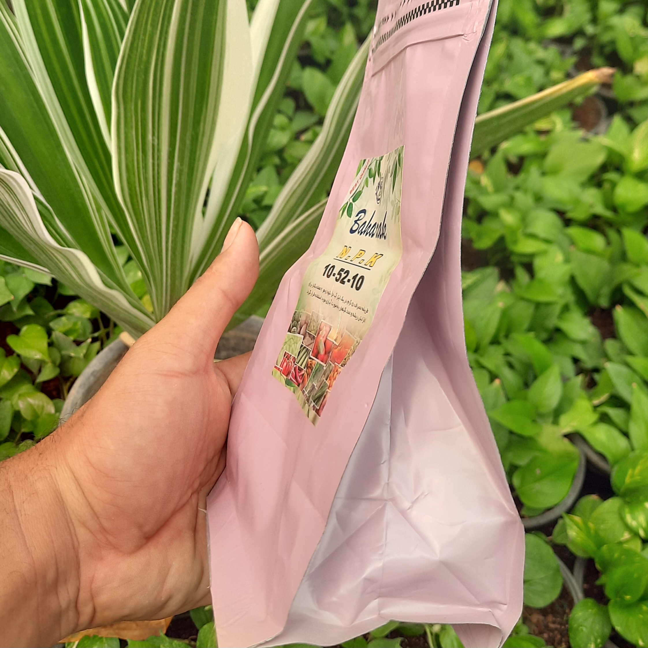 کود ۱۰ ۵۲ ۱۰