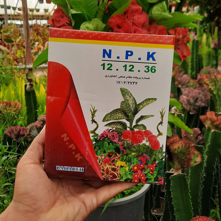 کود ۱۲ ۱۲ ۳۶ کود با کیفیت بالا برای گیاهان آپارتمانی