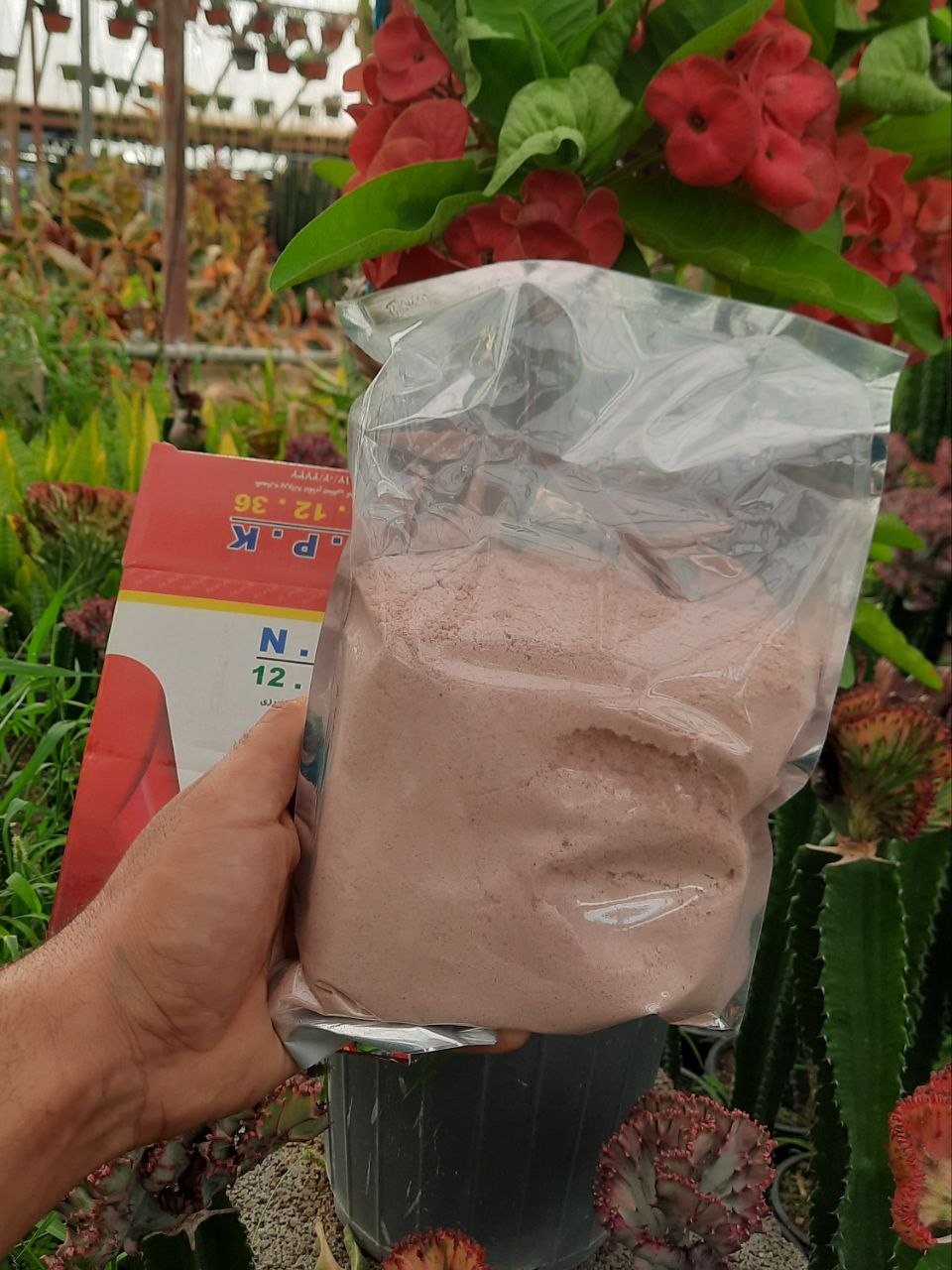 کود ۳۶ ۱۲ ۱۲