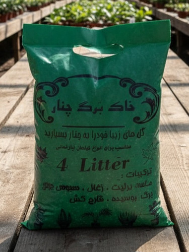 خاک برگ چنار برای همه گیاهان آپارتمانی