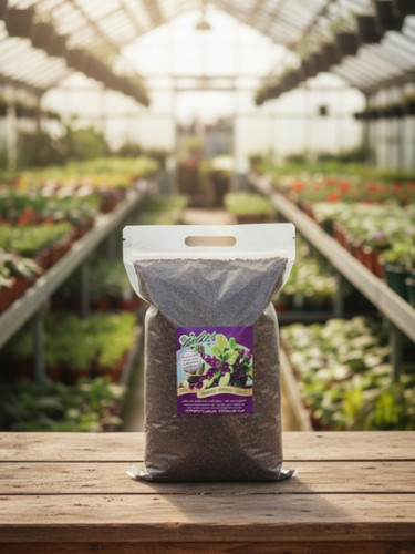 خرید و قیمت خاک بنفشه آفریقایی با کیفیت و قیمت مناسب