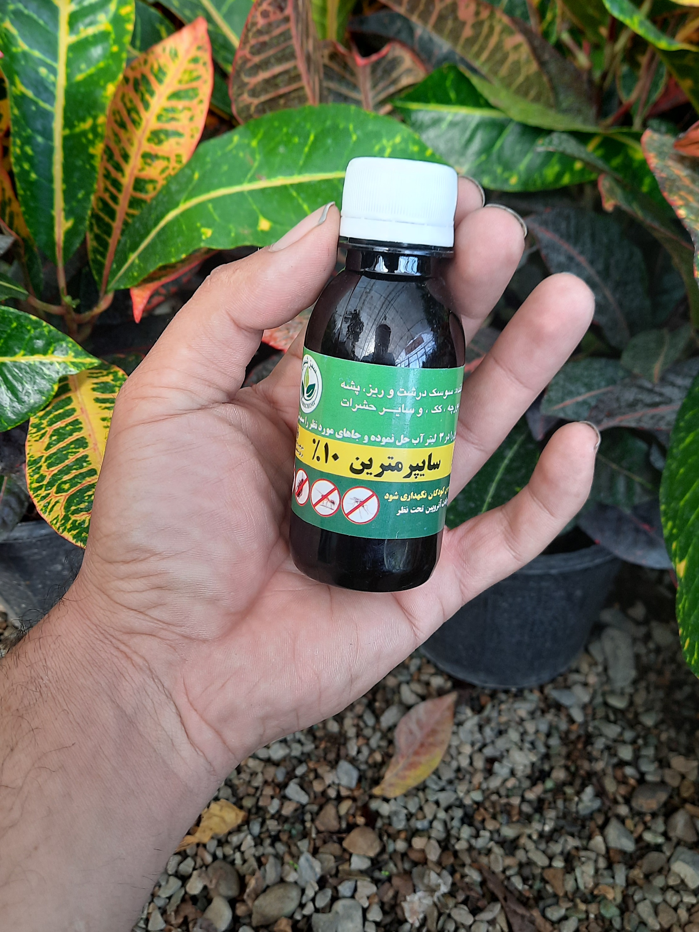 خرید پرلیت درشت بستر مناسب ریشه‌زایی و قلمه‌گیری گیاهان | بیلچه طلا