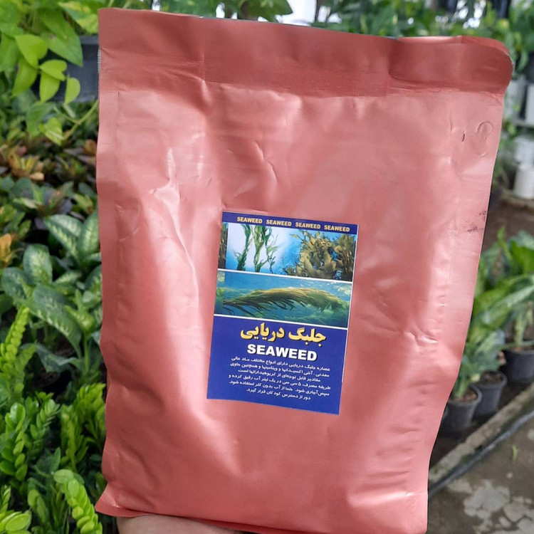 کود جلبک دریایی ۱ کیلویی پک ۱۰ عددی عمده ۱۰ کیلویی تقویت و سبزینگی در گیاهان
