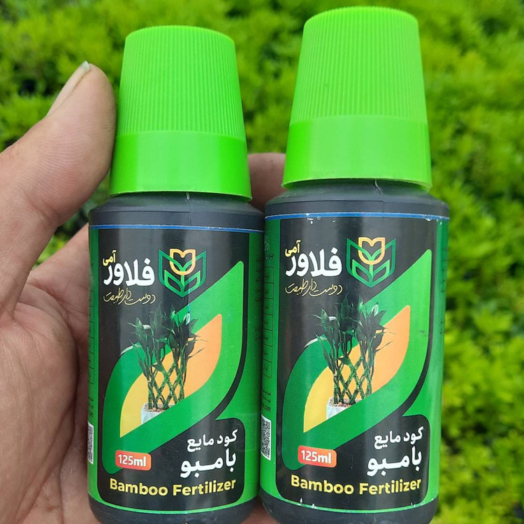 کودبامبو حرفه ای فلاور آمی | ۱۲۵ میل | پک ۱۰ عددی رشد و پاجوش دهی بامبو