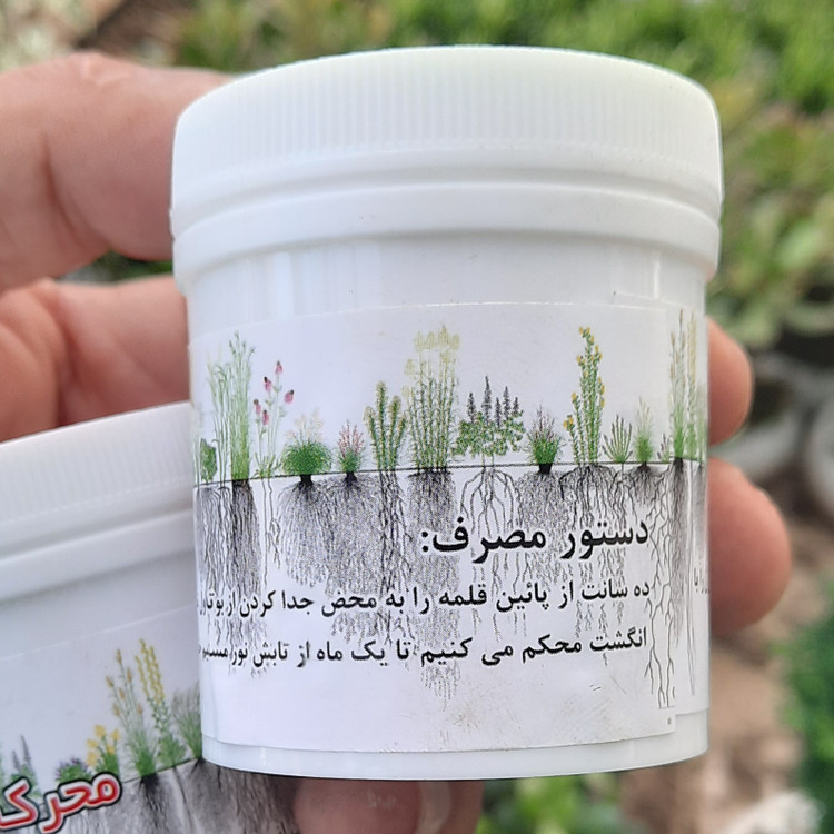 هورمون ریشهزا ۵۰ عددی - بیلچه طلا