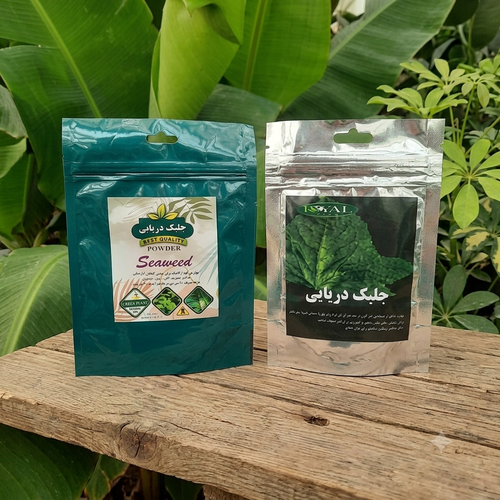 کود جلبک دریایی افزایش فتوسنتز برای گیاهان آپارتمانی تقویت کننده جلبک دریایی کود خالص