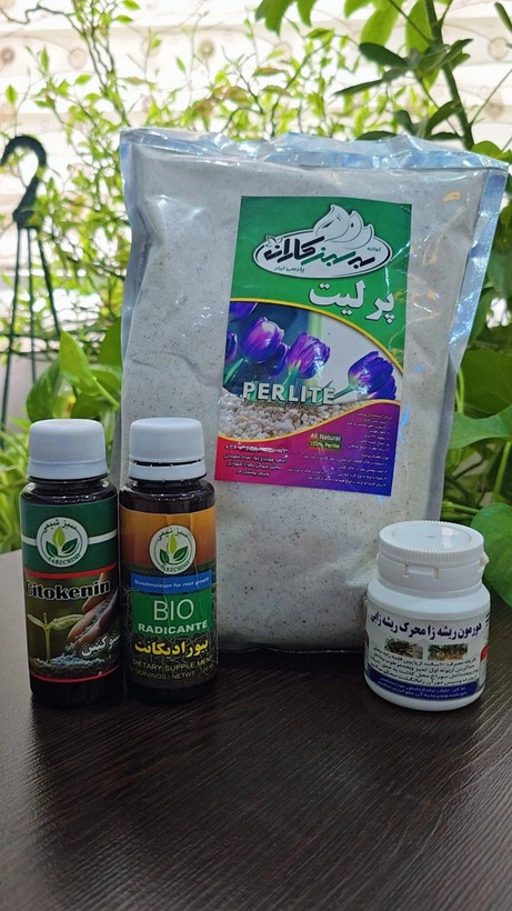 پک کامل قلمه زنی بدون نقص در رشد ریشه