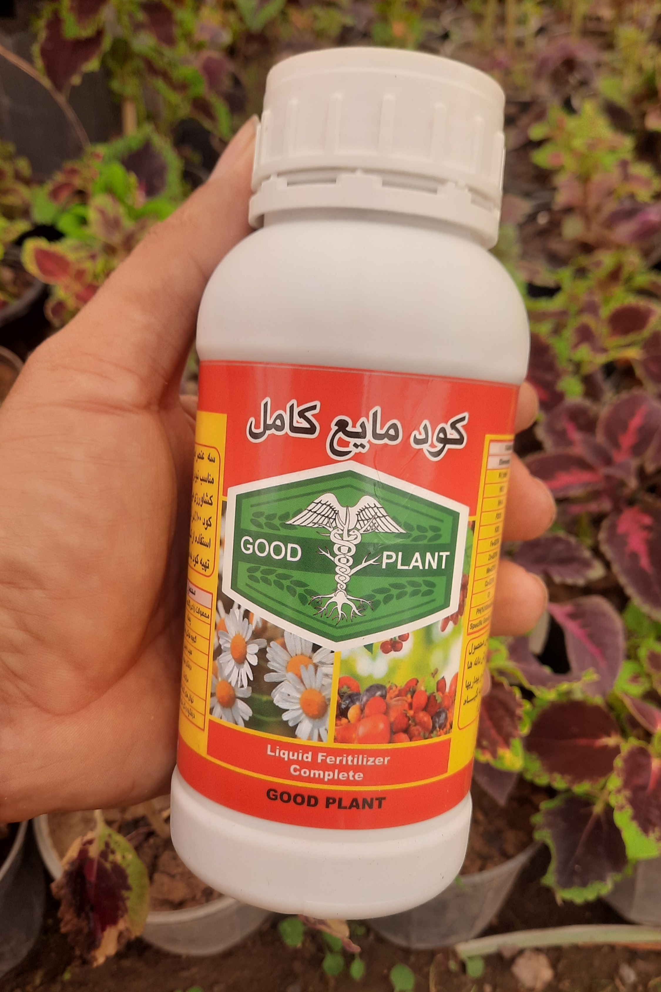 انواع کود مراقبتی برای گیاهان 