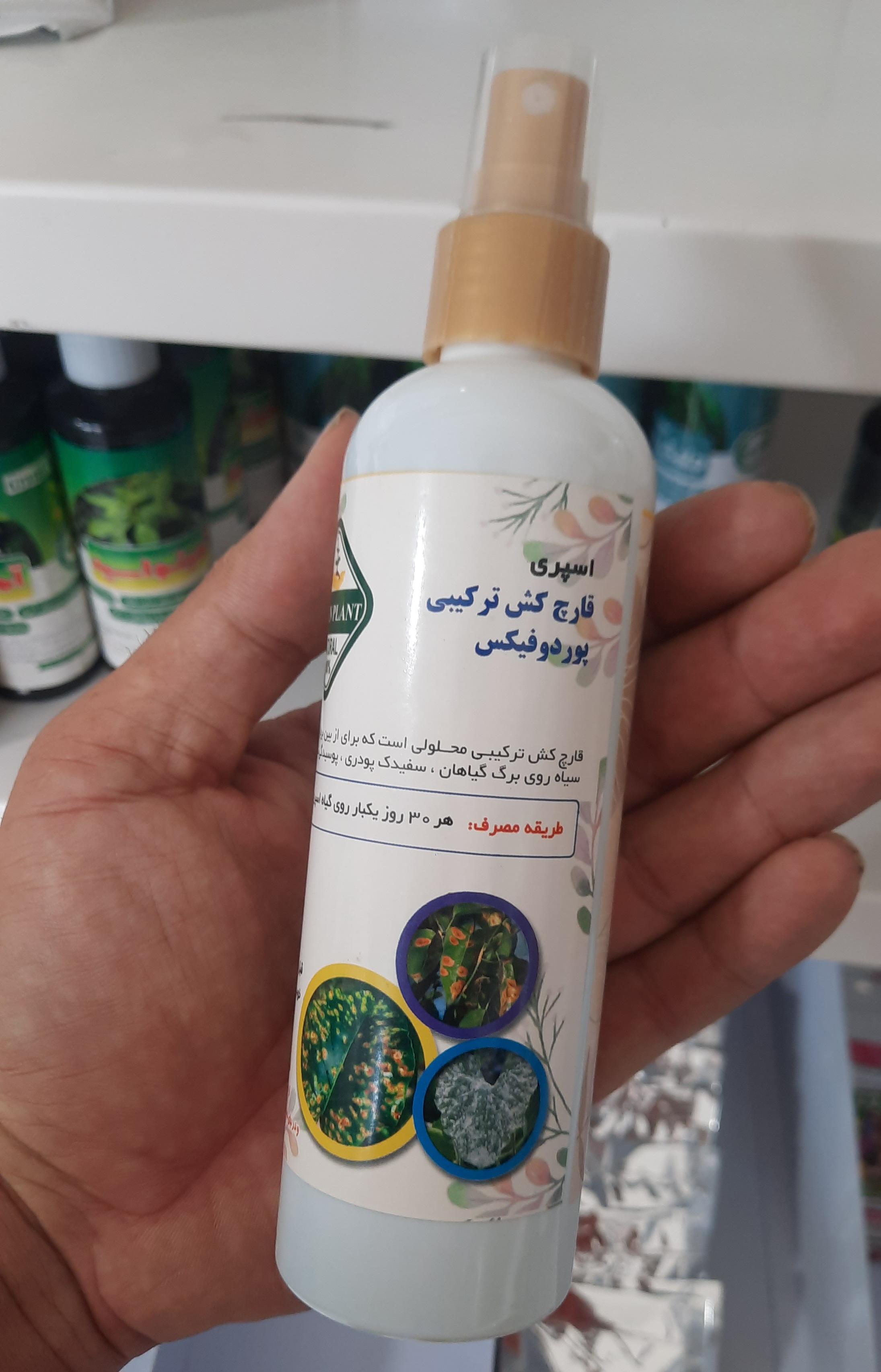 از بین برندهی قارچ ها و عفونت ها در گیاه