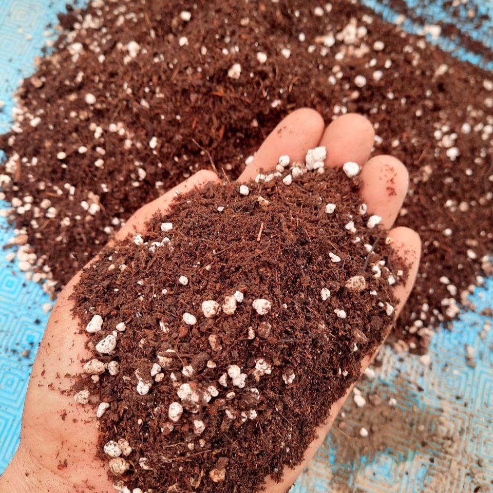 خاک سبک برای تکثیر و تولید گیاهان