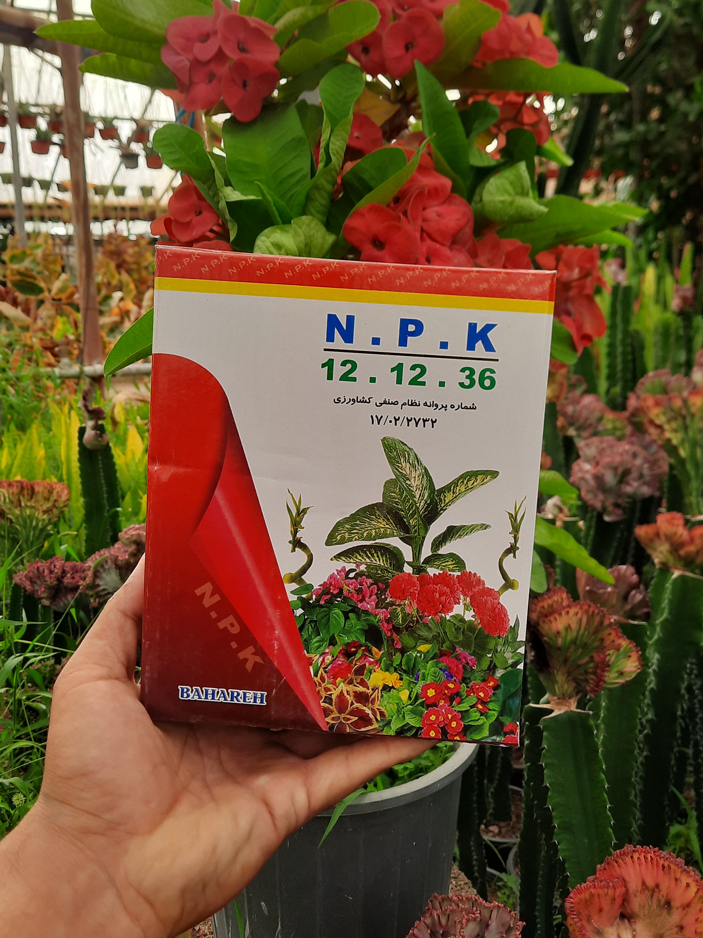 کود ۱۲ ۱۲ ۳۶ مواد مغذی برای گیاهان