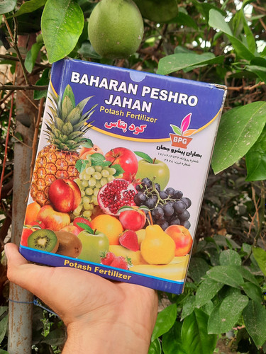 کود پتاس برای گل دهی و میوه دهی