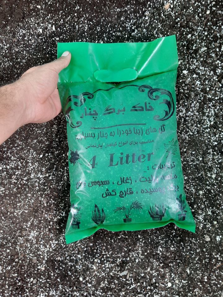 خاک برگ مارک چنار بیلچه طلا در بسته‌بندی استاندارد